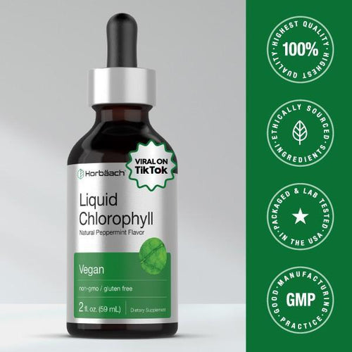 Horbaach Liquid Chlorophyll Drops – Plant-Based Daily Wellness